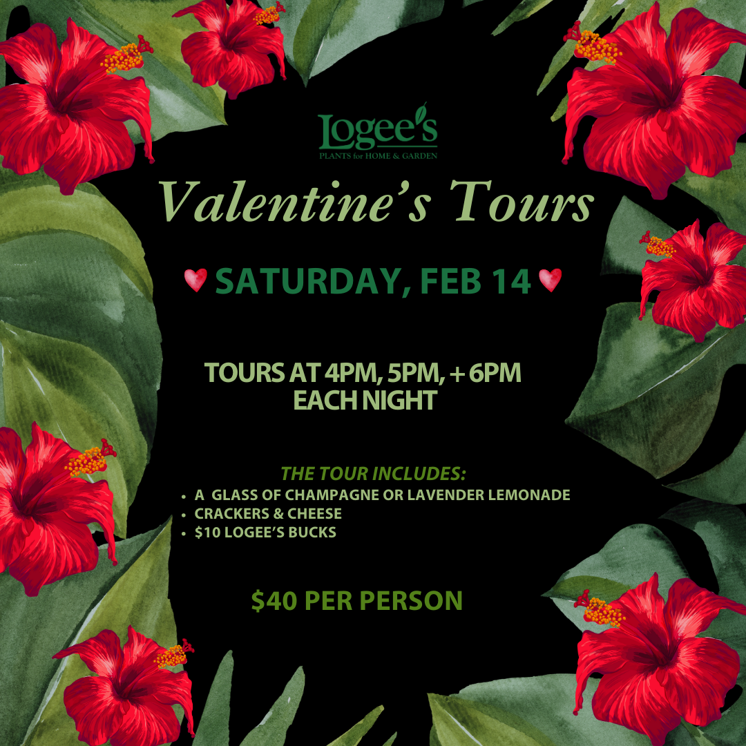 Valentine's Tour - Saturday, February 14 @ 6PM