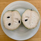 Atemoya Fruit Tree ‘African Pride’ (Atemoya hybrid)