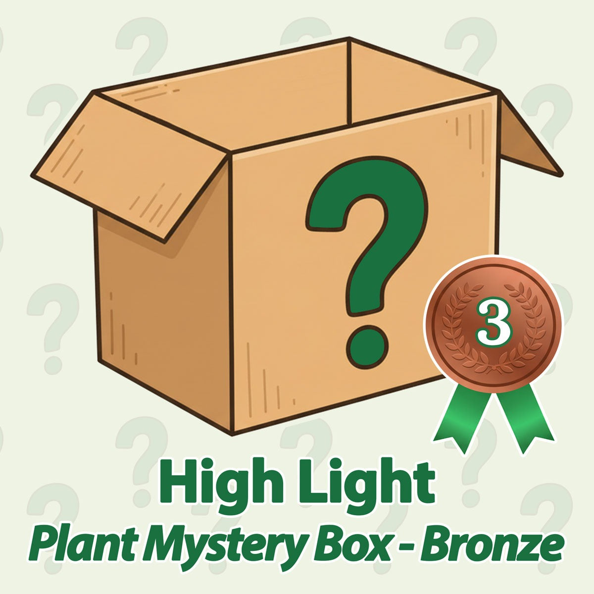 High Light Plant Mystery Box - Bronze - June