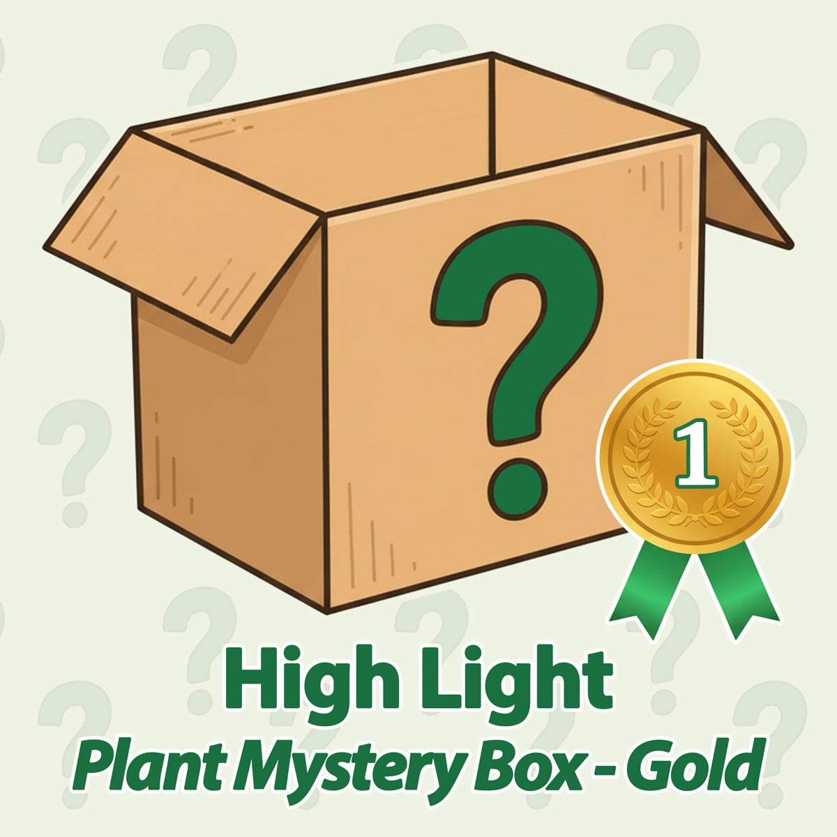 High Light Plant Mystery Box - Gold - June