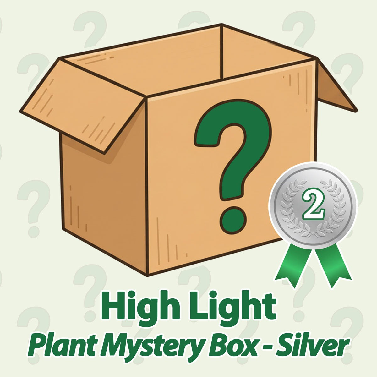 High Light Plant Mystery Box - Silver - June