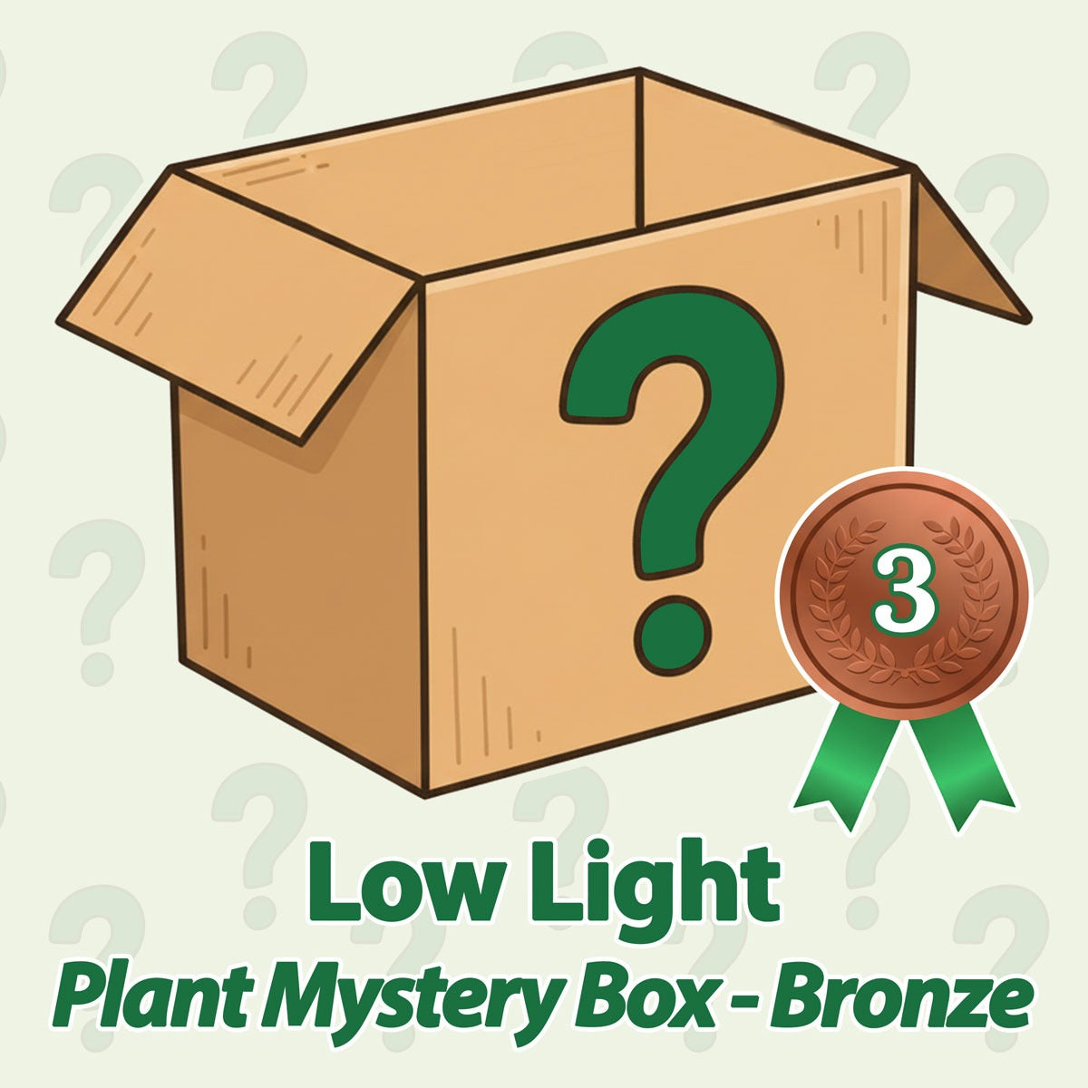 Low Light Plant Mystery Box - Bronze - June