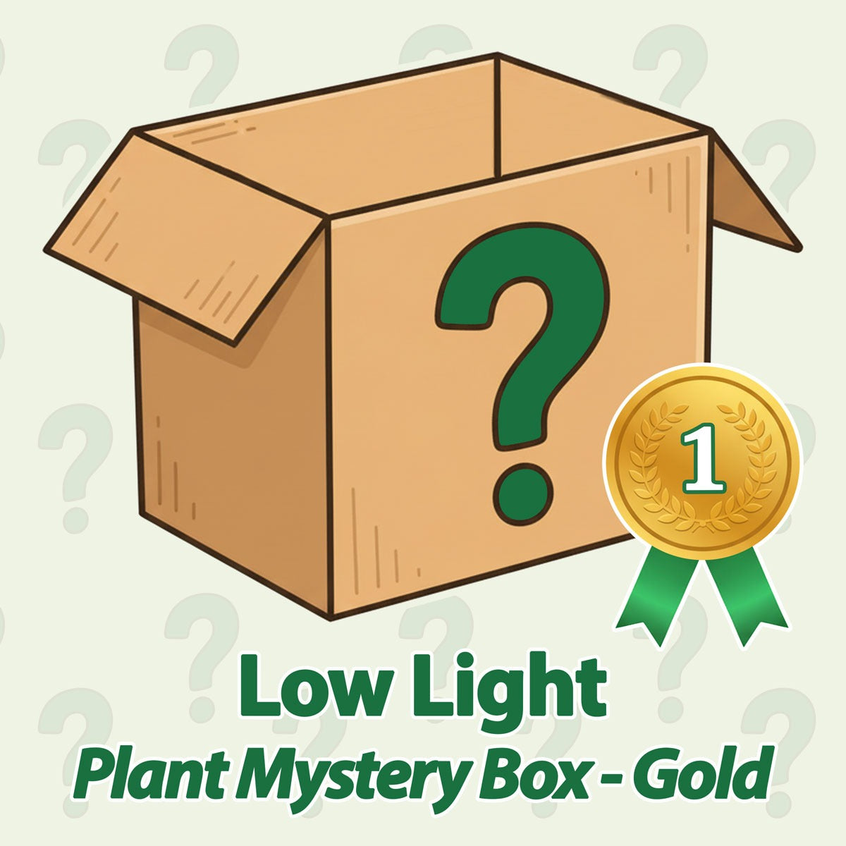 Low Light Plant Mystery Box - Gold - June