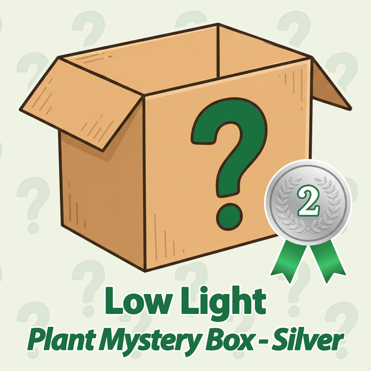 Low Light Plant Mystery Box - Silver - June
