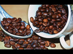 Coffee Plant (Coffea arabica)